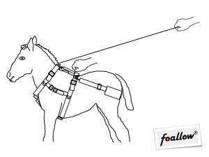 Patentritning Patentskiss Patent Ritning Skiss patentskisser häst